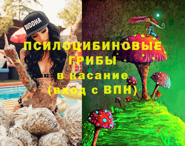 ГАЛЛЮЦИНОГЕННЫЕ ГРИБЫ Покровск