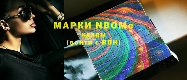 прущие грибы Красноперекопск