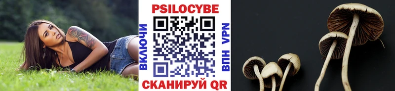 Галлюциногенные грибы Magic Shrooms  Кологрив 